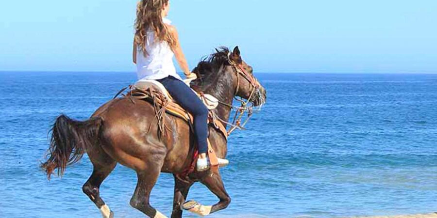 Horseback riding in Boavista for beginners - Your meeting point at Riu Palace