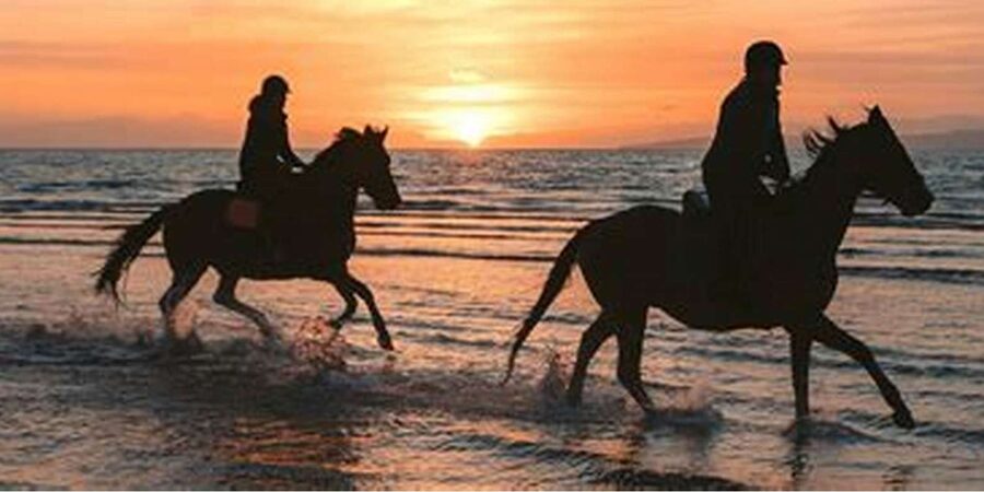 Horseback riding in Boavista for beginners - The first minutes in the saddle
