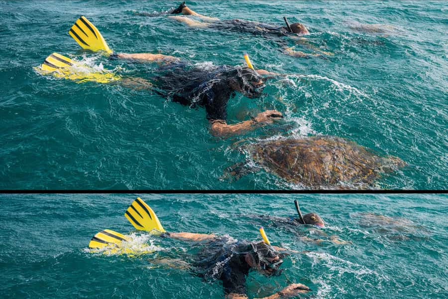 Ilha Do Sal: Snorkeling with Local Guide - Is $35 good value?