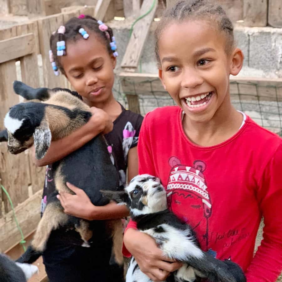 Island tour & cattle & Taste local flavors - Seeing Boa Vista beyond the resort strip