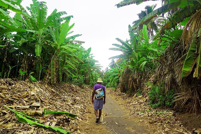 Like Locals: Banana Plantation, and Cuscuz with locals - The move to São Lourenço dos Órgãos