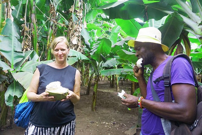 Like Locals: Banana Plantation, and Cuscuz with locals - Making cuscuz and fidjós with a local family