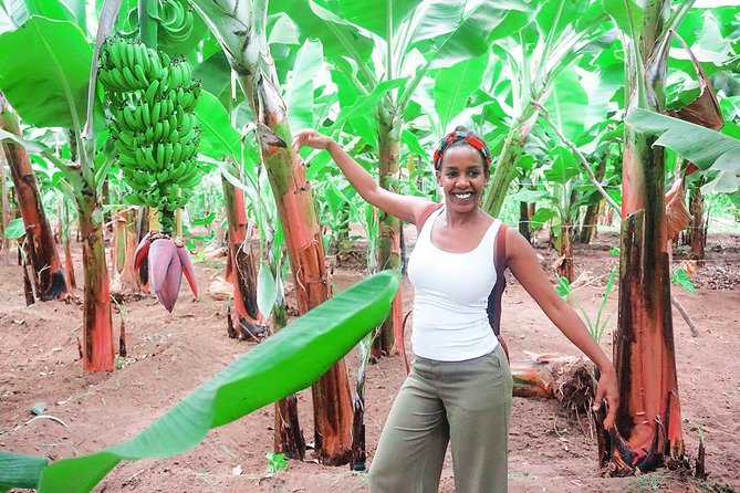 Like Locals: Banana Plantation, and Cuscuz with locals - Is $76.57 a fair price?