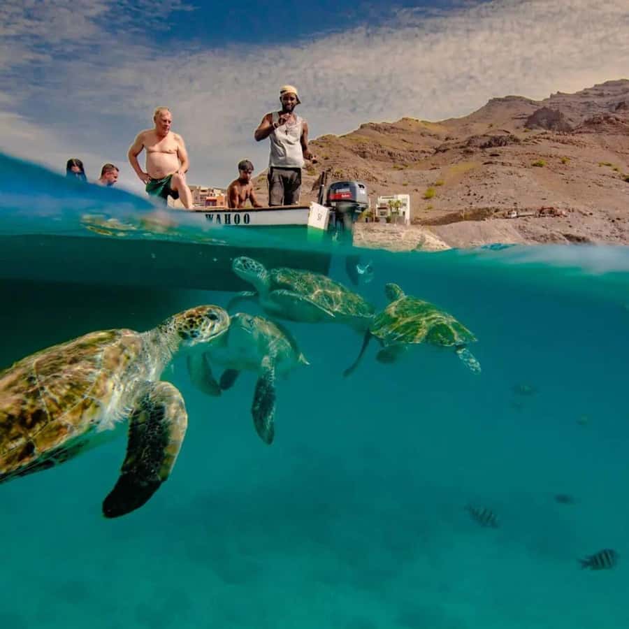 Live Snorkeling & Swimming with Sea Turtles in the Atlantic - São Pedro Bay, where the turtles gather near Mindelo