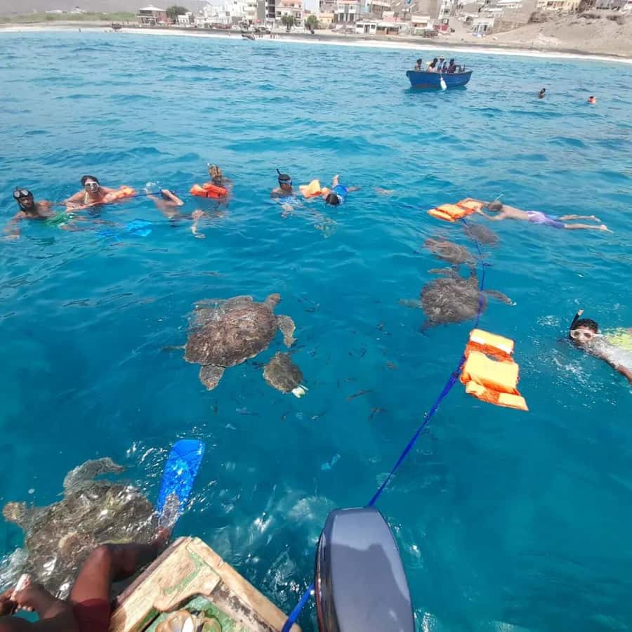 Live Snorkeling & Swimming with Sea Turtles in the Atlantic - The guides and the human side of the trip
