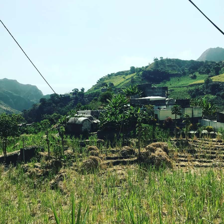 Paúl hike, the green garden - Booking details worth knowing