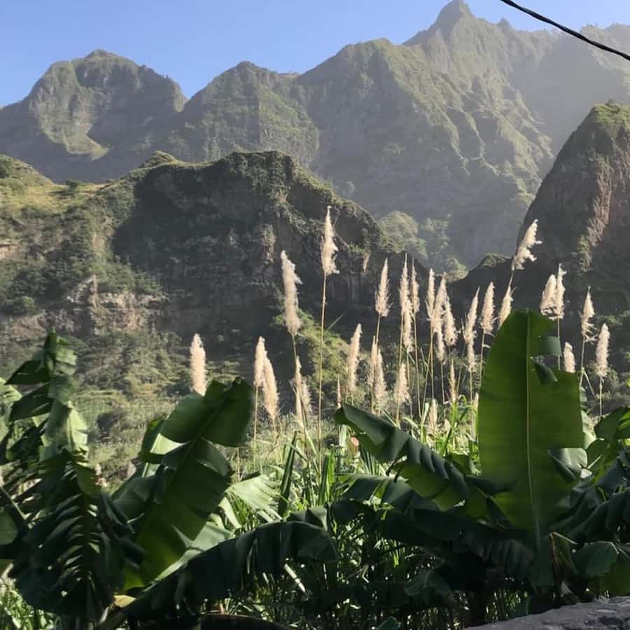 Paúl hike, the green garden - The distillery and local drink tasting