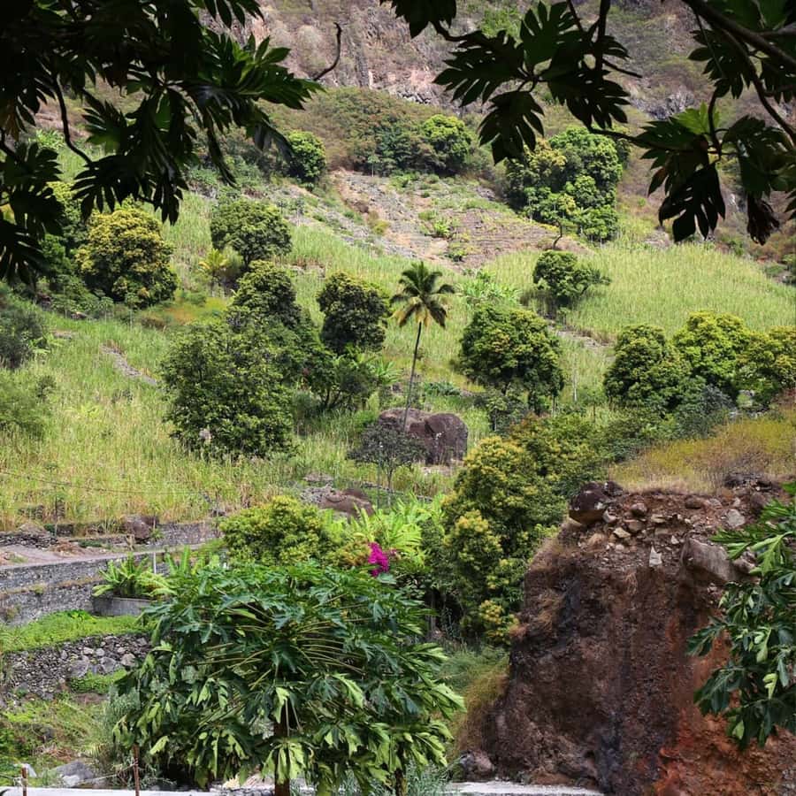 Paúl hike, the green garden - Traditional lunch, with one important price check