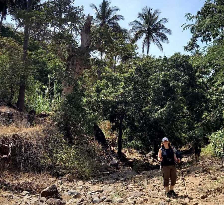 Praia: Baobab Mysterious Tree, Green Valley & Old City Hike - What the $53 price includes