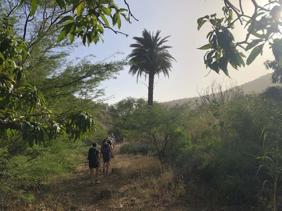 Praia: Baobab Mysterious Tree, Green Valley & Old City Hike - The 400-year-old baobab