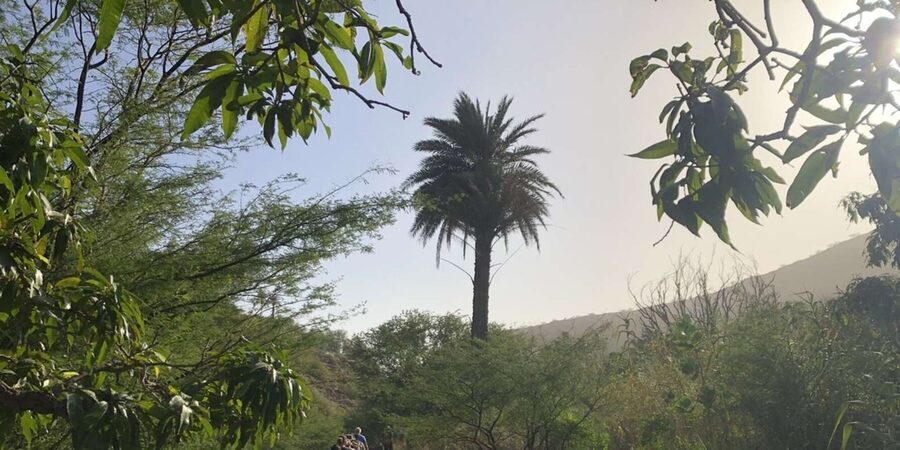 Praia: Baobab Mysterious Tree, Green Valley & Old City Hike - Guides, group size, and the pace of the day