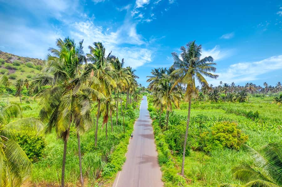Praia: Day trip by minibus for cruise passengers - Why this route works for a one-day cruise stop