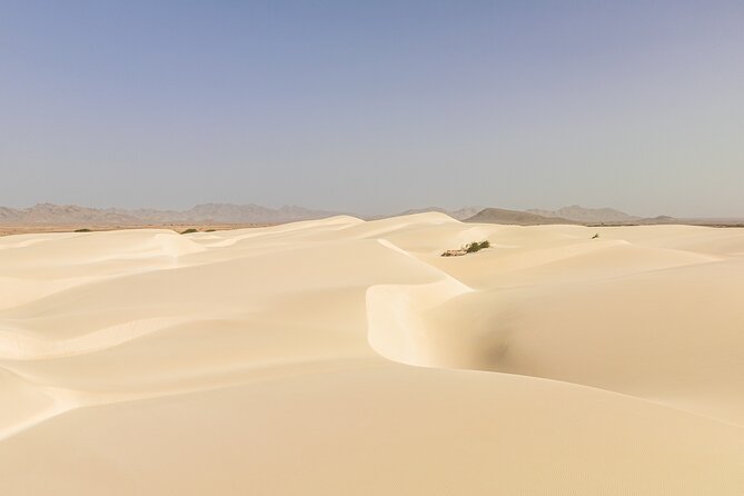 Private 4WD Tour Sun and Fun in Boa Vista - Why this four-hour route works