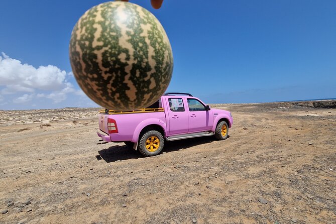 Private Creative Pictures Full Day Island Tour (Off Road inc.) - Shark Bay and Pedra Lume’s salt story
