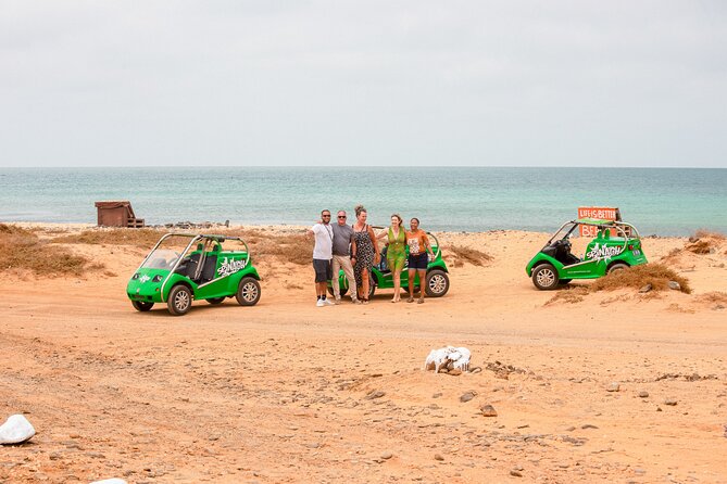 Private Guided Tour of Sal Island | Electric Car with Audio Guide - Key points to know before you book