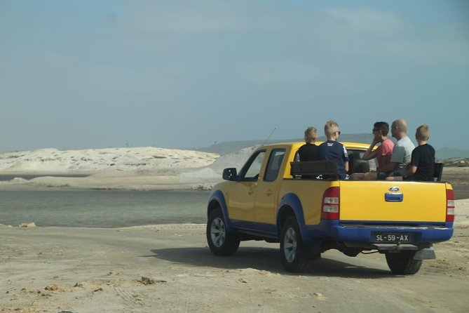 Private Sal Island Tour Authentic Experience from Santa Maria - Shark Bay and lemon sharks