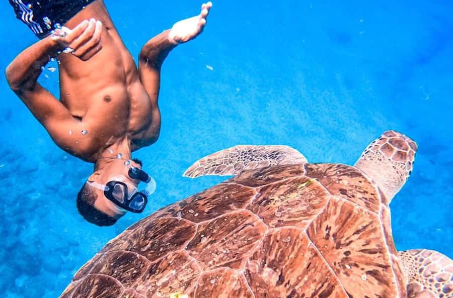 Private Snorkel Experience with Sea Turtle for Cruisers - Meeting your guide at Port of Mindelo