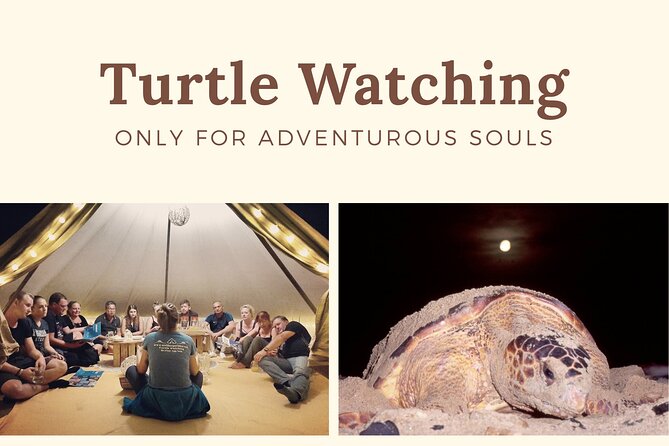 Private Turtle Watching Experience - The conservation rules are part of the experience