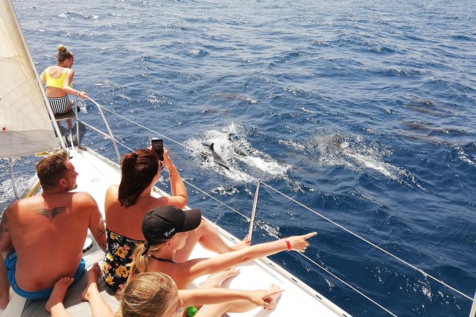Sailing yacht half day- with Cape Verde Sailing - Wildlife is possible, never promised