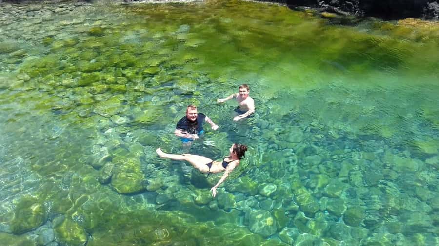 Sal: All-Inclusive Salt Lake, Blue Eye and Shark Bay Tour - Shark Bay: a close look at lemon sharks