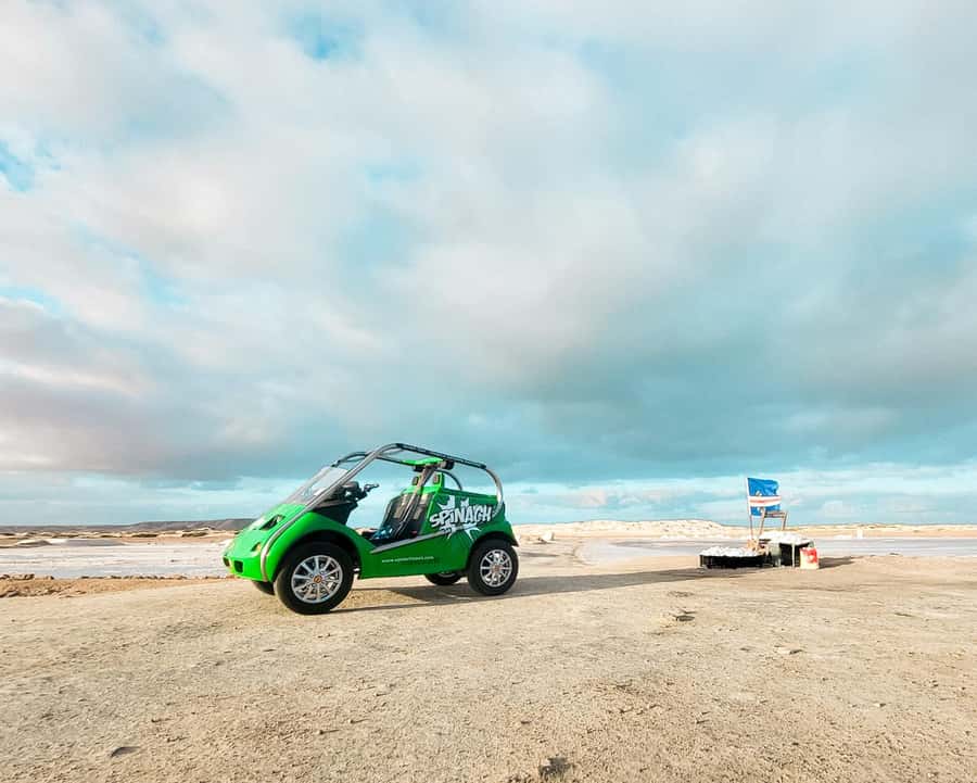 Sal Island: 2 Hour Guided Excursion on a Talking Car - The municipal market for a taste of daily life