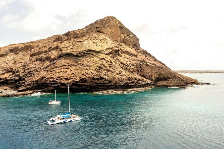 Sal Island Catamaran Cruise with All-inDrinks and Snacks - What the Catamaran Day Feels Like