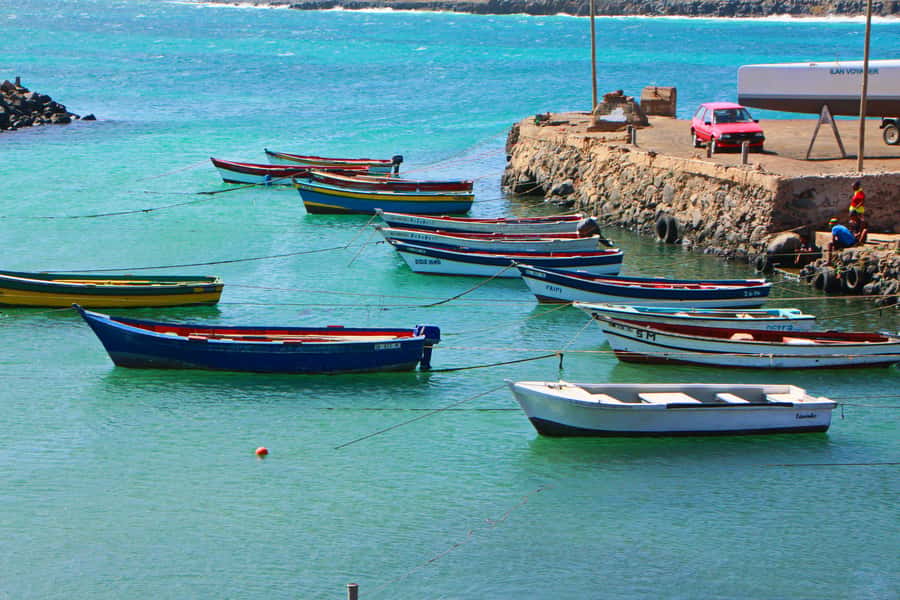 Sal island : Full day excursion Salinas, Shark Bay, Blue Eye - Pedra de Lume and the salt lake that holds you up