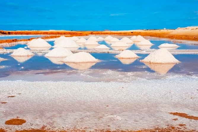Sal Island: Guided Full-Day Highlights Tour with Lunch - Why this Sal tour works so well as an island introduction