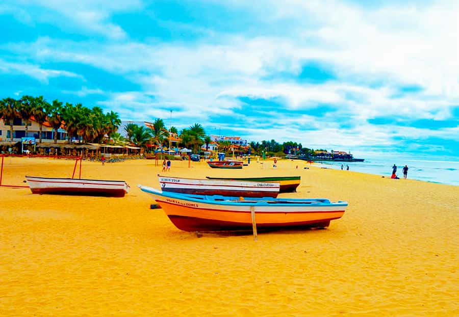Sal Island: Guided Full-Day Highlights Tour with Lunch - Palmeira offers a glimpse of working island life