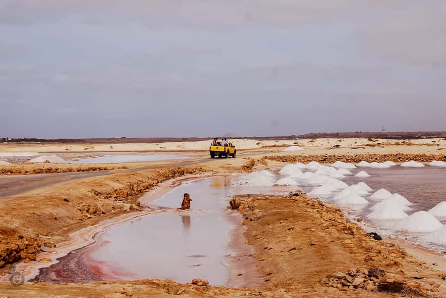 Sal island: Guided Historical and Cultural Tour - Who will get the most from this experience?