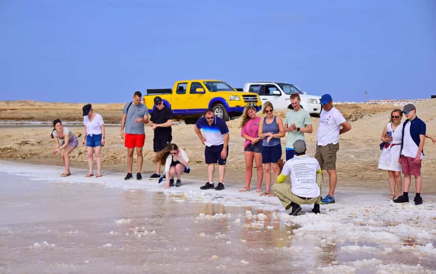 Sal island: Guided Historical and Cultural Tour - Why this half-day tour helps you understand Sal
