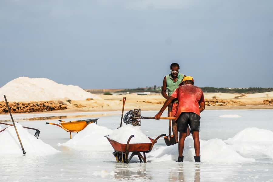 Sal island: Guided Historical and Cultural Tour - Transport, walking, and the four-hour pace