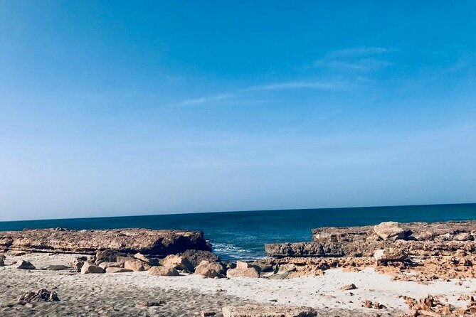 Sal Island in a Group - A Full Day Exploring the Highlights - Why this Sal tour makes sense for a first full day
