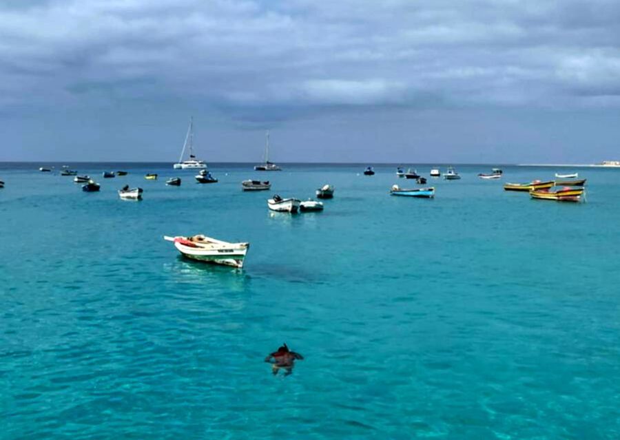 Sal island: Santa Maria city tour, street art and tapas - Colorful streets and Cape Verdean daily life