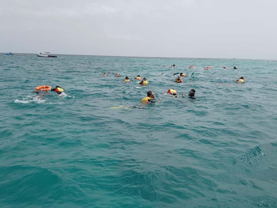 Sal Island: Santa Maria Snorkelling - The boat ride and the first look below the surface