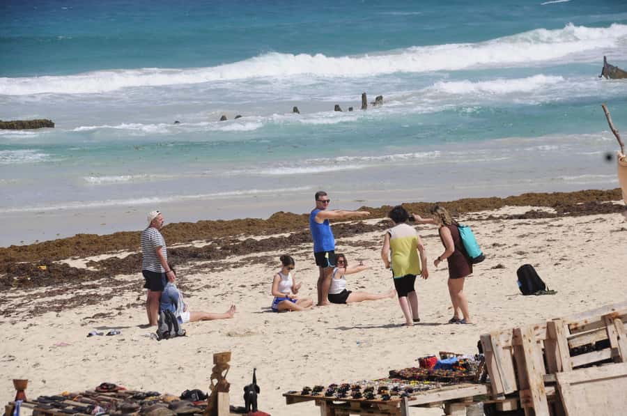 Sal Rei: Boa Vista Island Full-Day North to South Discovery - The best parts at a glance