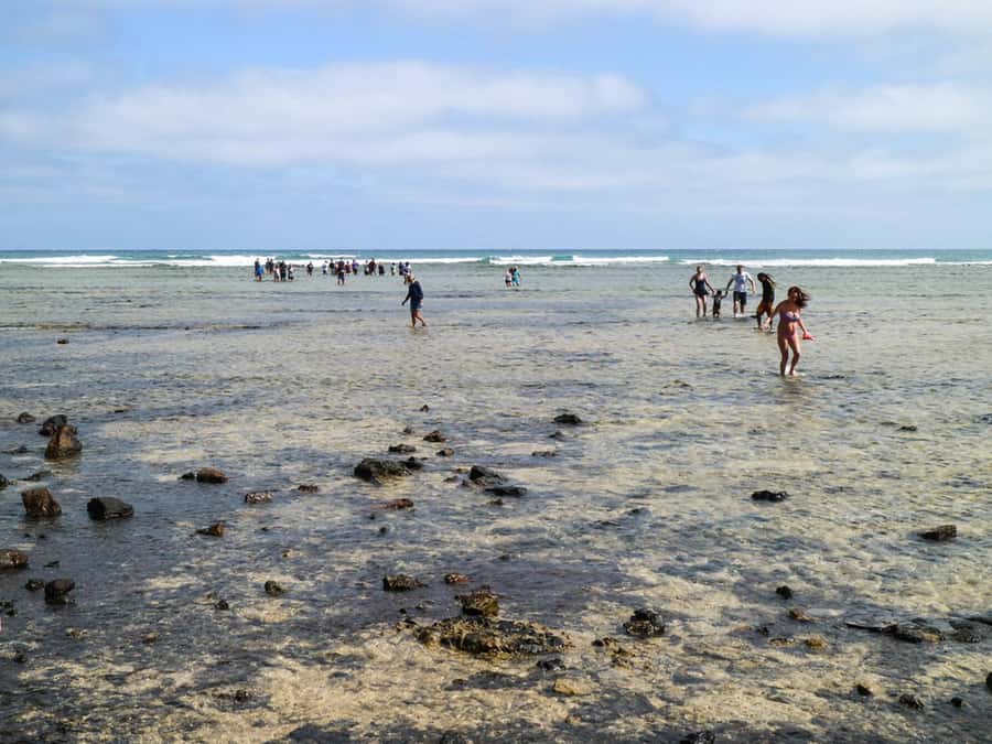Salt Pans & Lemon Sharks Experience - Key points at a glance