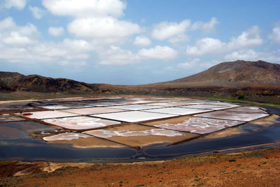 Salt Pans & Lemon Sharks Experience - How the $82 price measures up