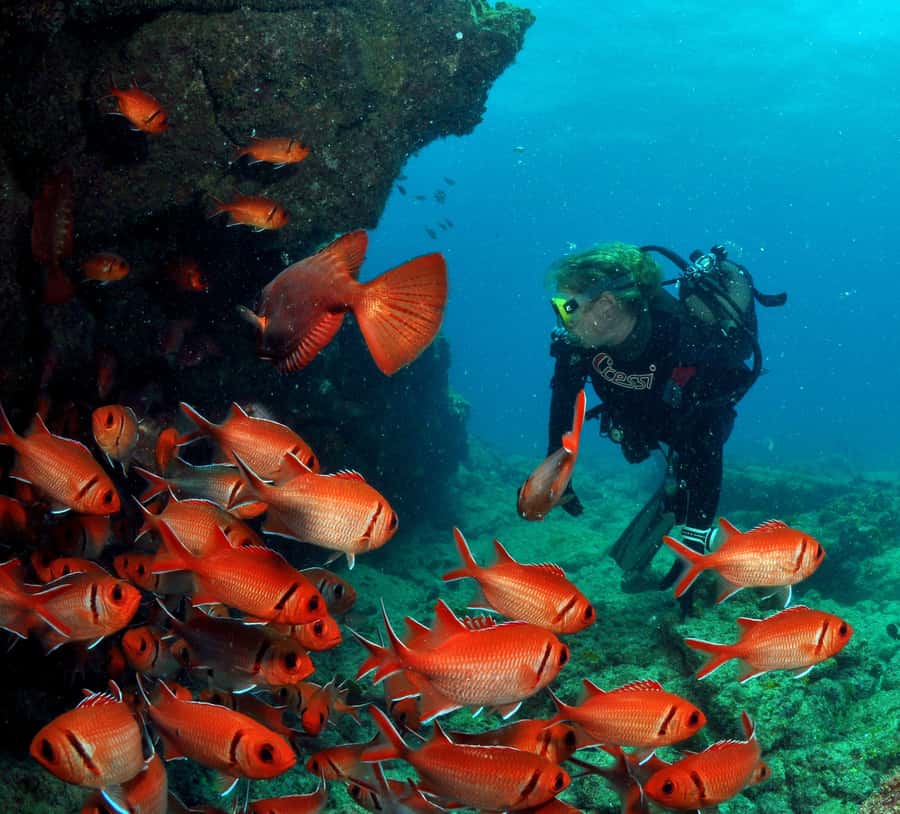 Santa Maria: Discover Scuba Diving - The 8:30 morning lesson builds confidence