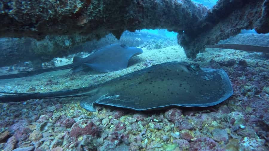 Santa Maria: Guided Snorkeling and Reef Tour - How long are you actually in the water?