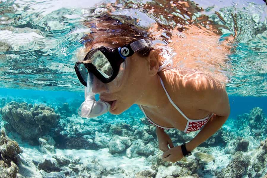 Santa Maria: Guided Snorkeling and Reef Tour - Choosing the reef: Farol, Santa Maria, and Bolama wreck