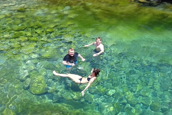 Santa Maria, Sal: All inclusive Salt Lake, Blue Eye and Shark Bay - Starting at Shark Bay with lemon sharks