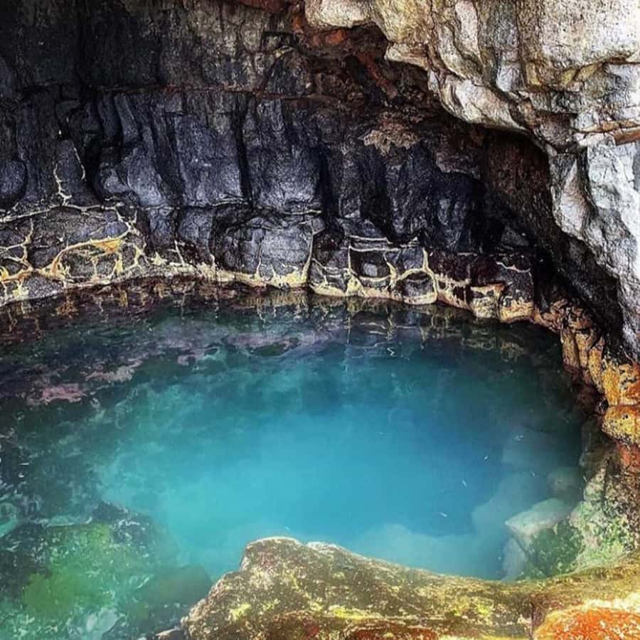 Santa Maria: Salt Mine, Natural Pool, and Shark Bay Tour - Lemon Shark Bay, the day’s headline stop