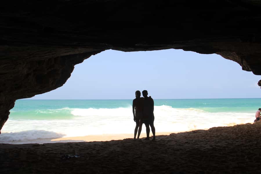 Santa Monica Beach Tour - Turtle Bay and Shark Bay are short wildlife stops