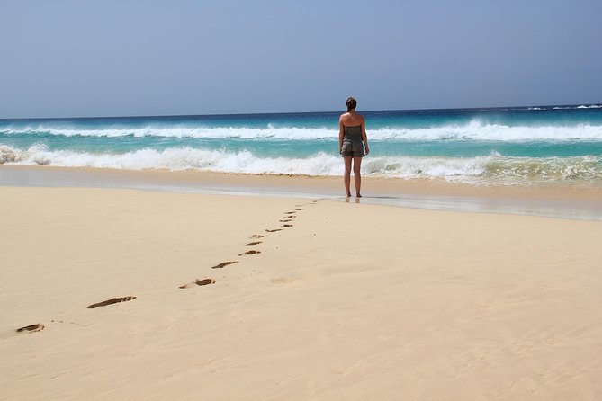 Santa Monica NO Stress Tour - Three very different sides of Boa Vista in four hours