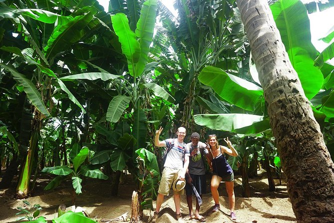 Santiago Island: Banana Plantation, Natural Park & Workshop with a local family - From Praia to Santiago’s farming country