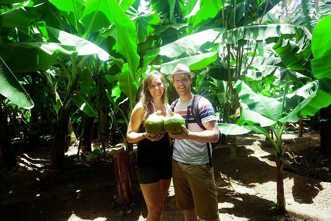 Santiago Island: Banana Plantation, Natural Park & Workshop with a local family - Is $87.14 a fair price?