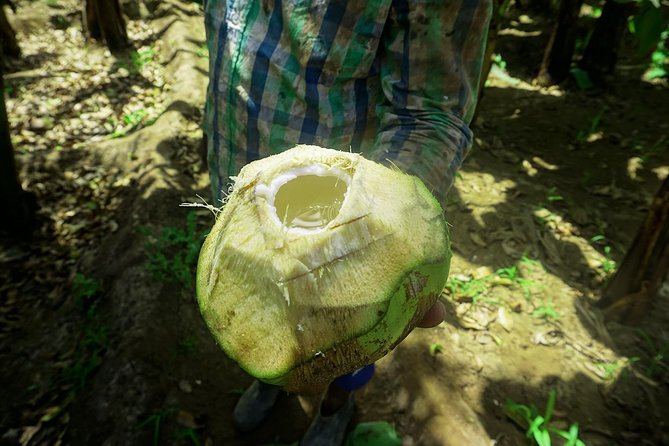 Santiago Island: Banana Plantation, Natural Park & Workshop with a local family - Who will enjoy this Santiago Island experience?
