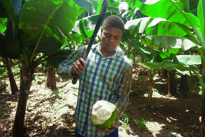 Santiago Island: Banana Plantation, Natural Park & Workshop with a local family - Cancellation and planning details