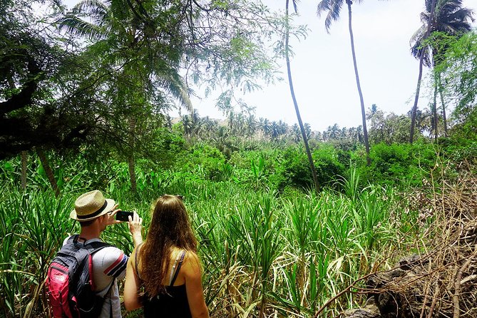Santiago Island: Banana Plantation, Natural Park & Workshop with a local family - Should you book it?